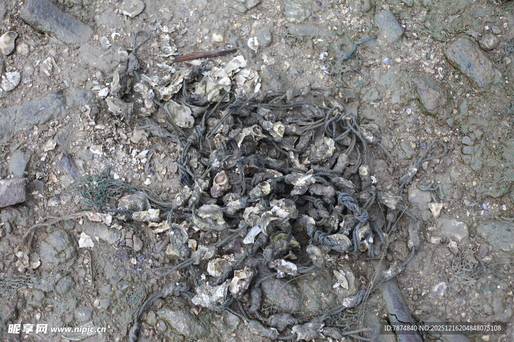 地面上的一堆碎石块