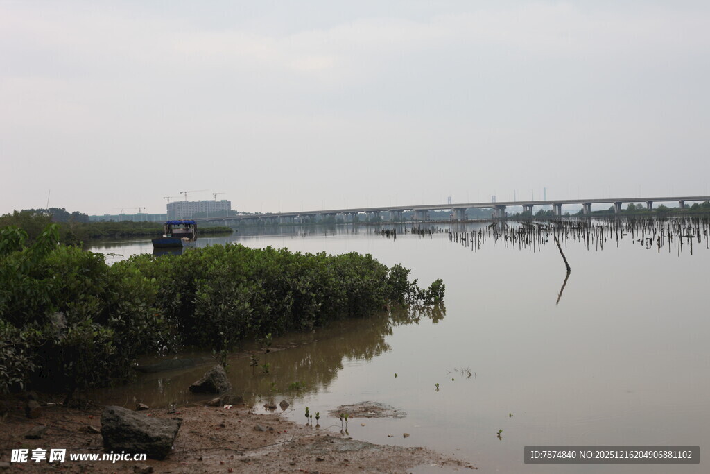河畔风景绿植与桥梁交映