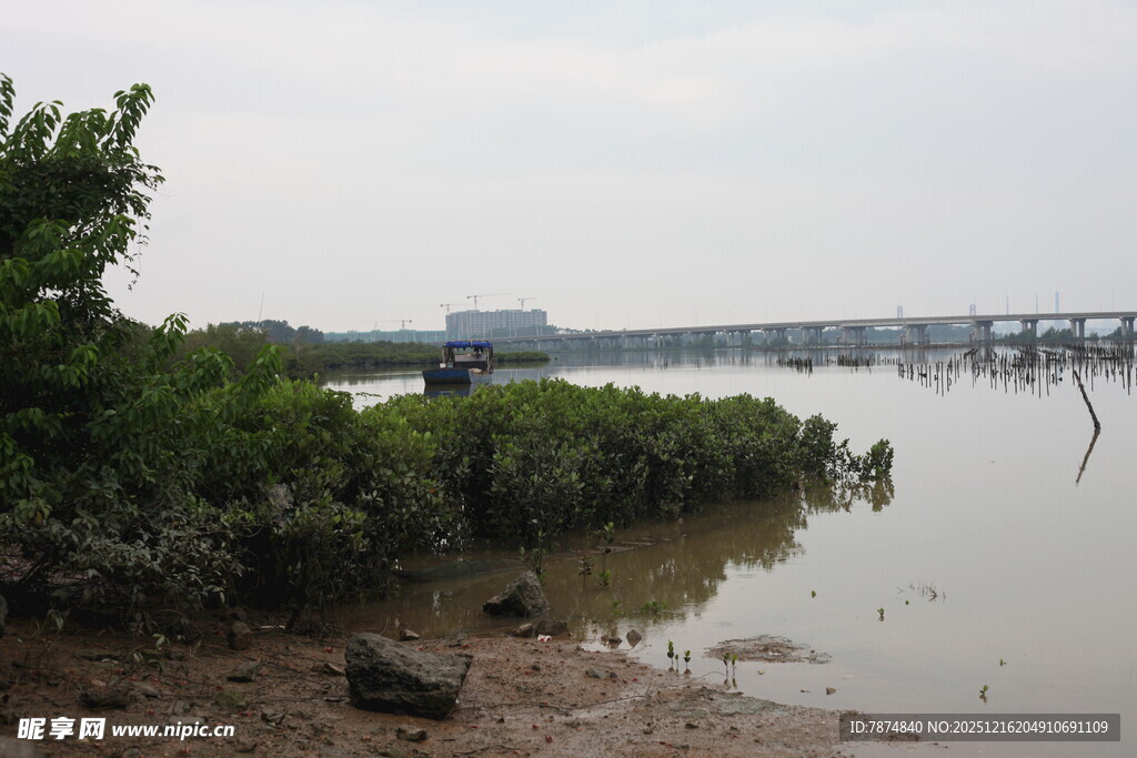 河畔绿植与远处桥梁景观