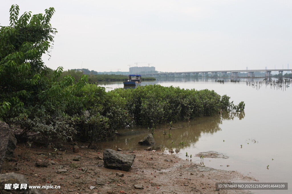 河岸绿植与水域景观