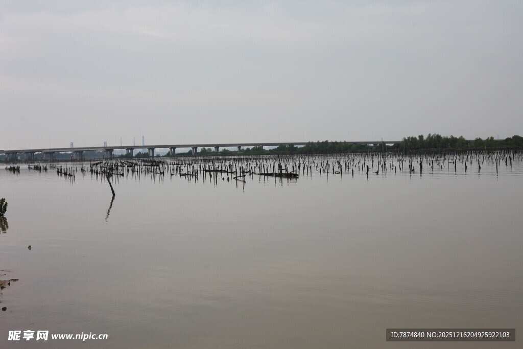 平静河面与远处桥梁景观