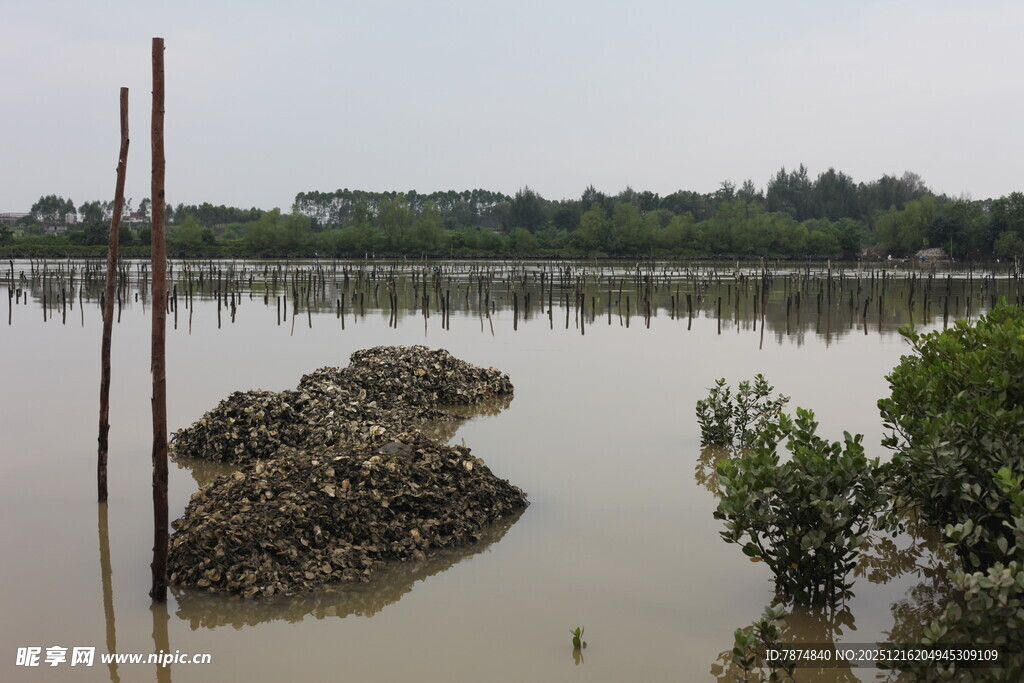 水域中的礁石与绿植景观