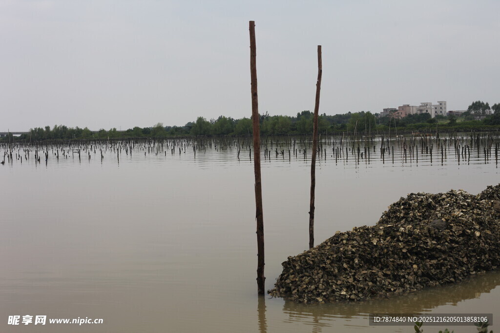 水域边的木桩与泥堆景观