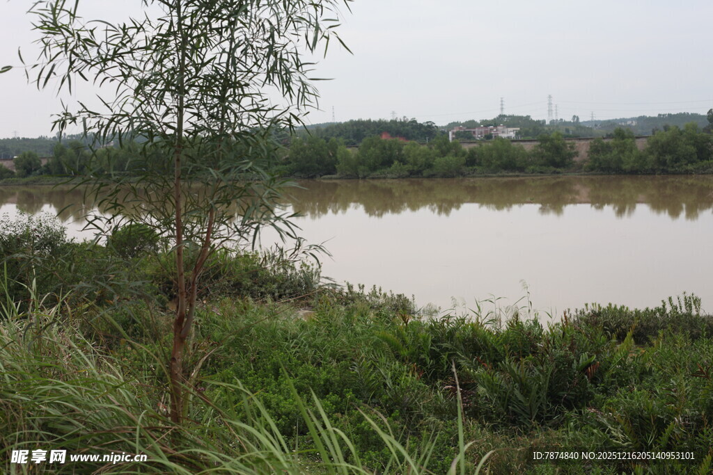 河畔绿植环绕的宁静水域