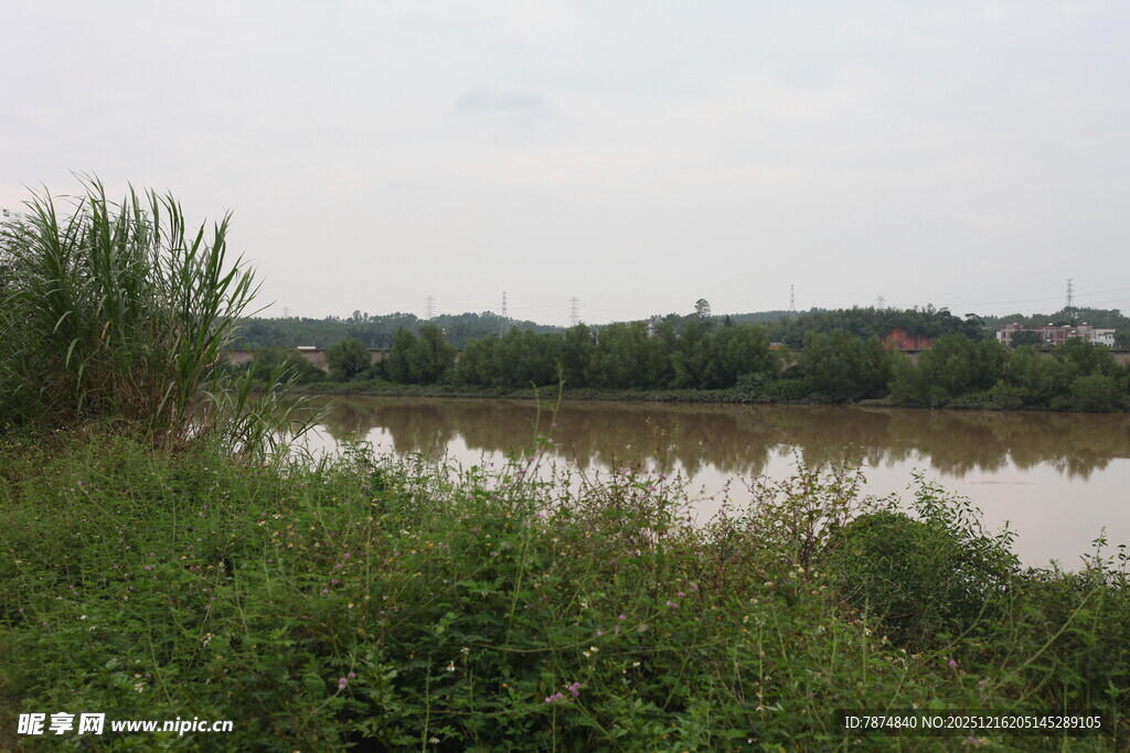 河畔绿植环绕的宁静水域