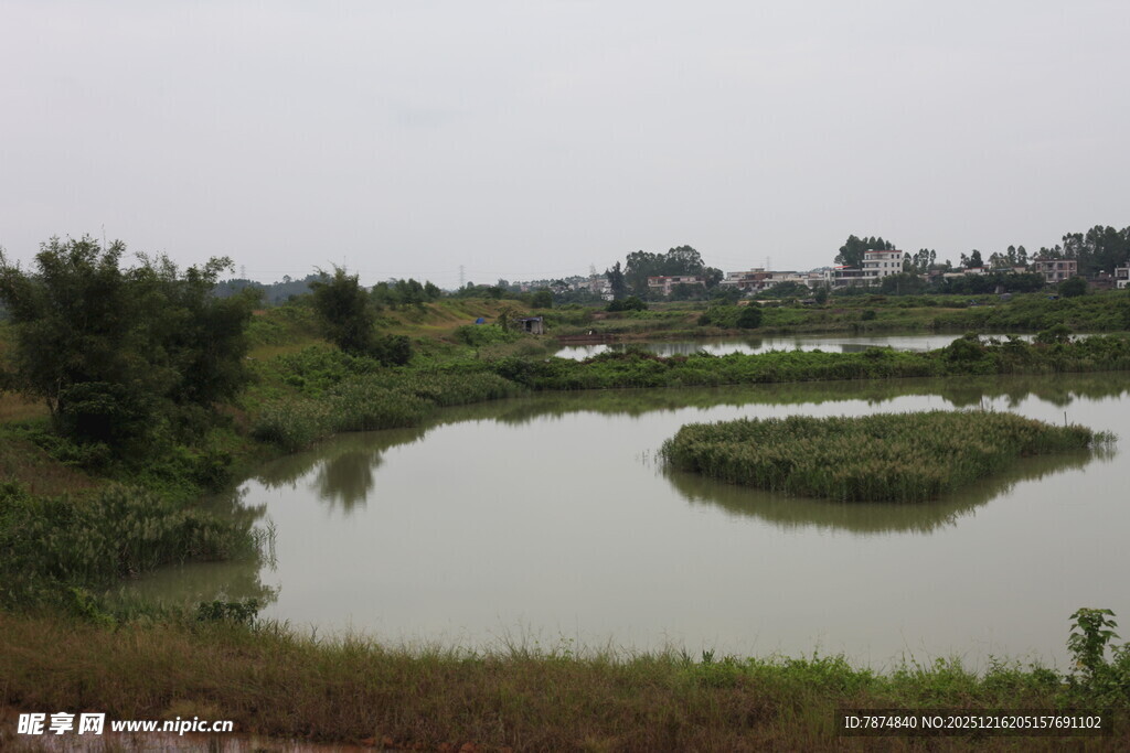 乡村池塘风光