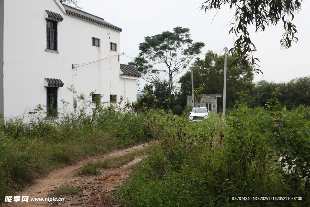 乡村白房旁的泥泞小路