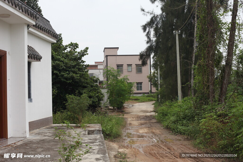 乡村荒废小道旁的建筑