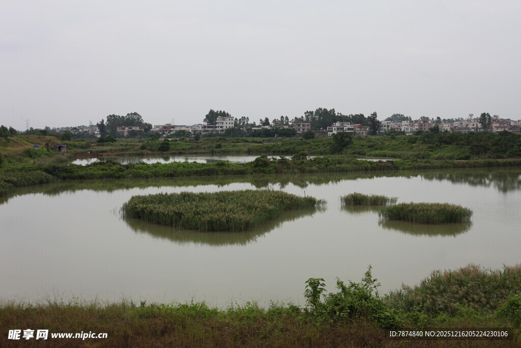 湿地风光水域中的绿色岛屿