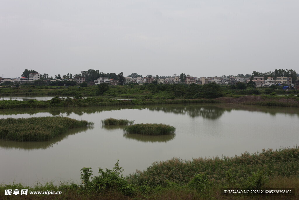 乡村湿地风光景色