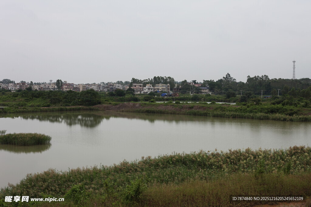乡村湖畔风光景色