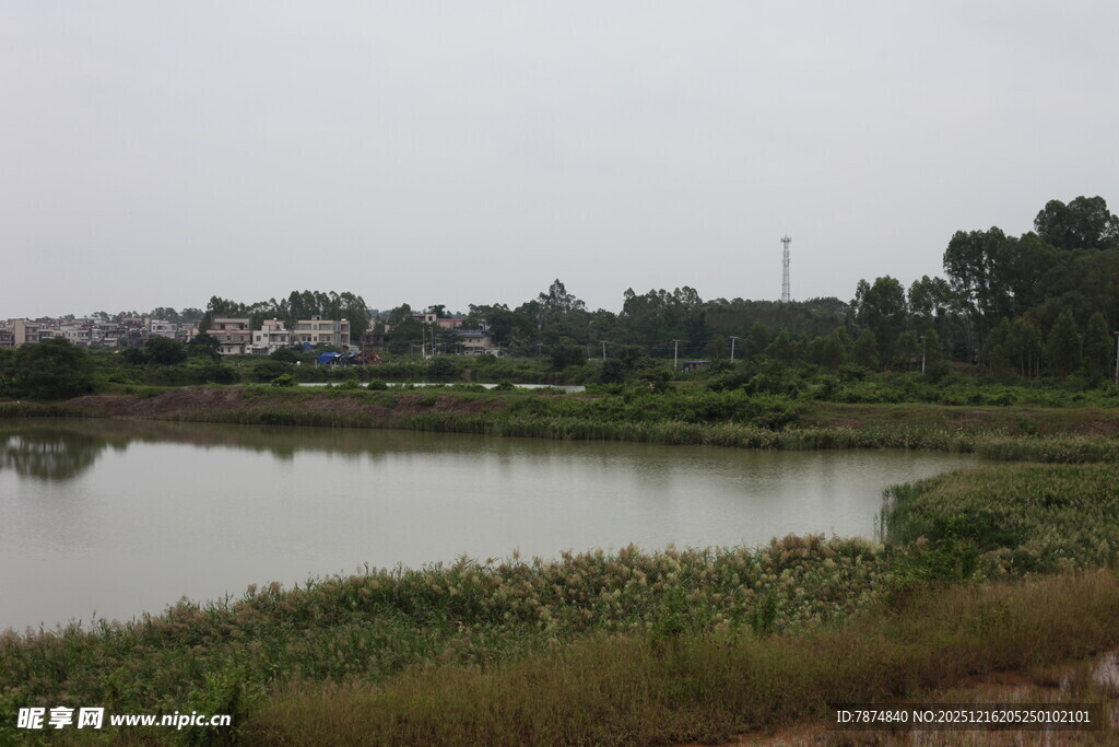 乡村宁静池塘风光
