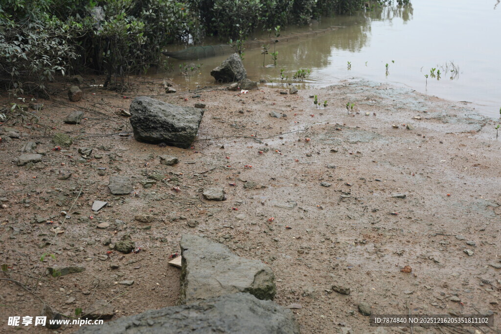 泥泞河岸散落石块与杂物