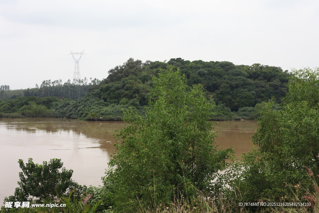 河畔绿树环绕的自然景致