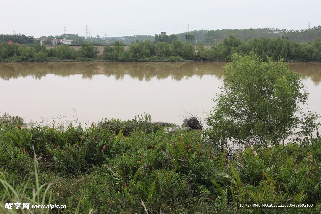 河畔绿植环绕的宁静水域