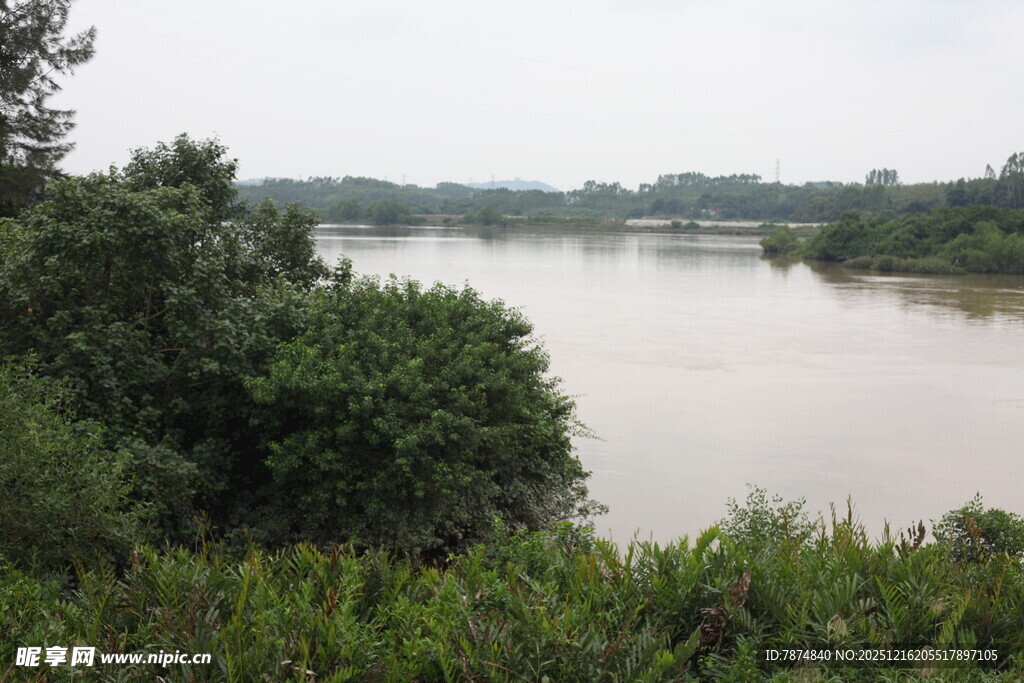 河畔绿植环绕的宁静水域