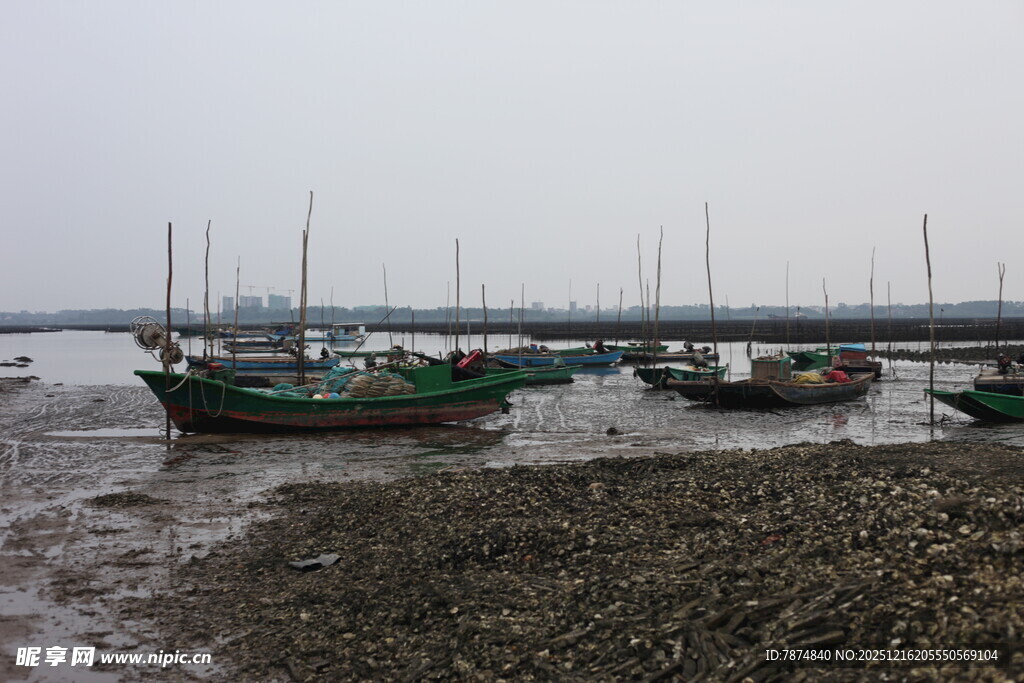 浅滩停泊的多艘渔船