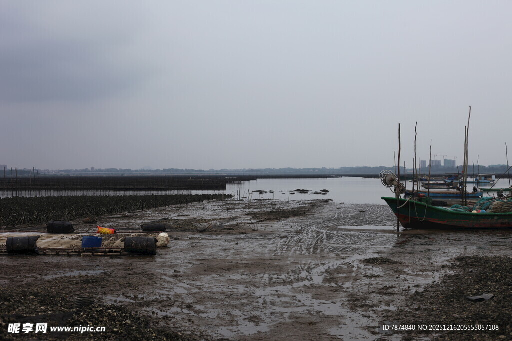 退潮后的渔港景象