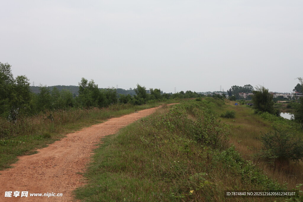 乡间土路绿意盎然的小径