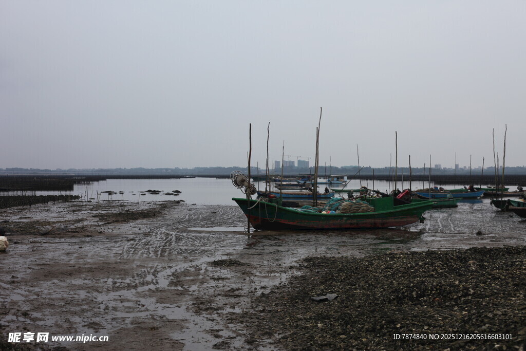 退潮时停泊在滩涂的渔船