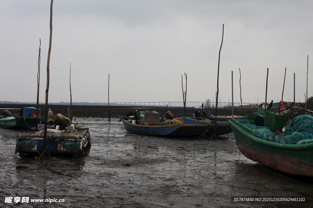 渔港停泊的多彩船只
