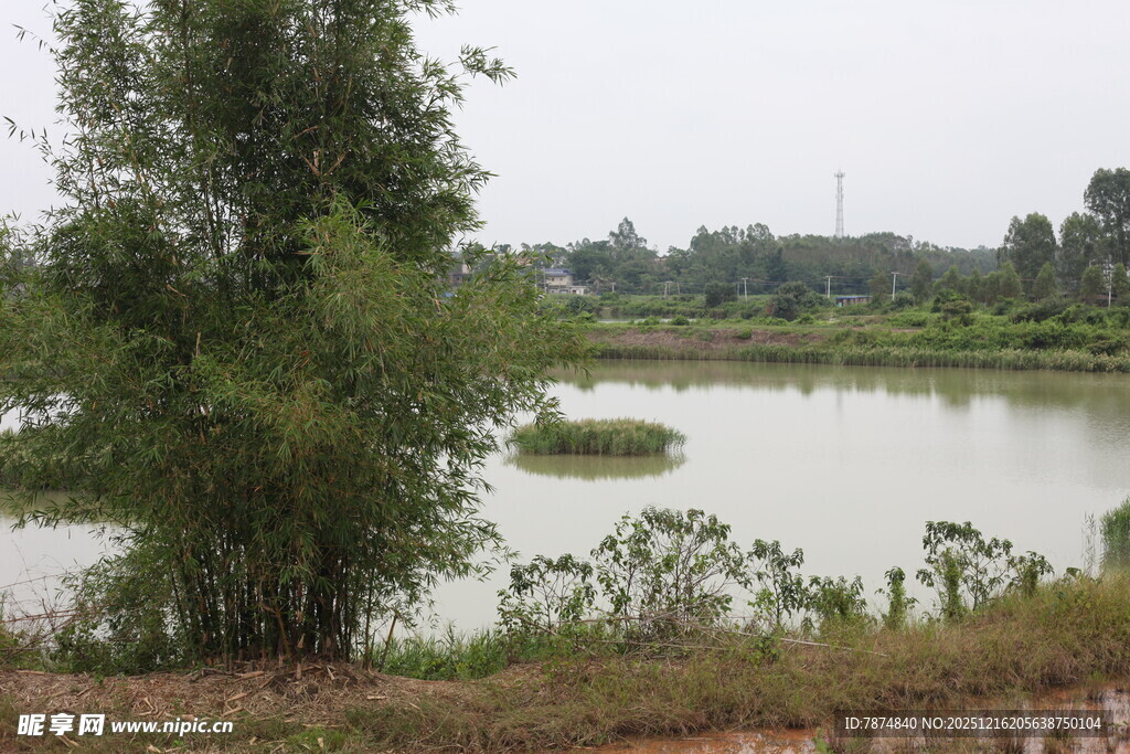乡村宁静湖泊与葱郁树木