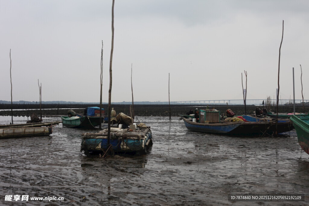 退潮时停泊的多艘船只