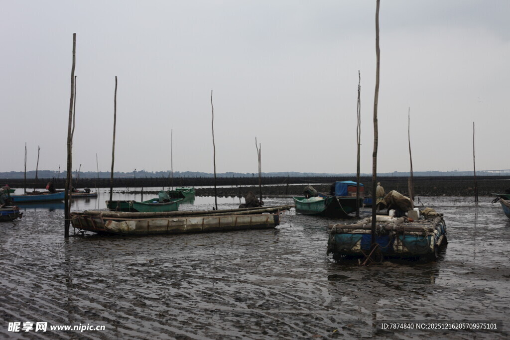 港口停泊的多艘帆船