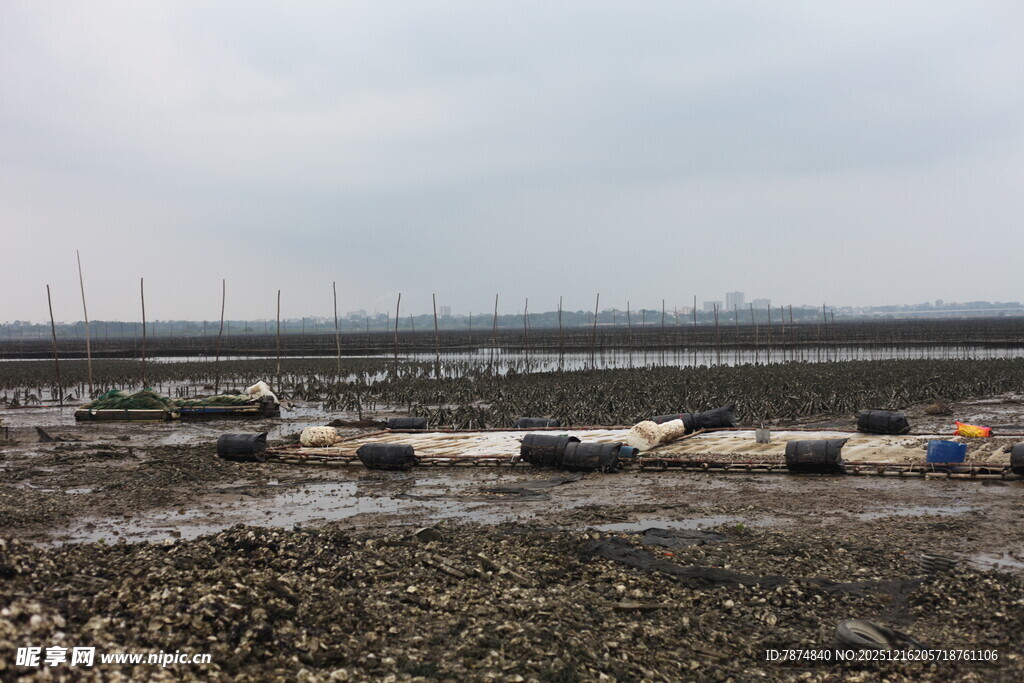 海边滩涂停泊的船只景象