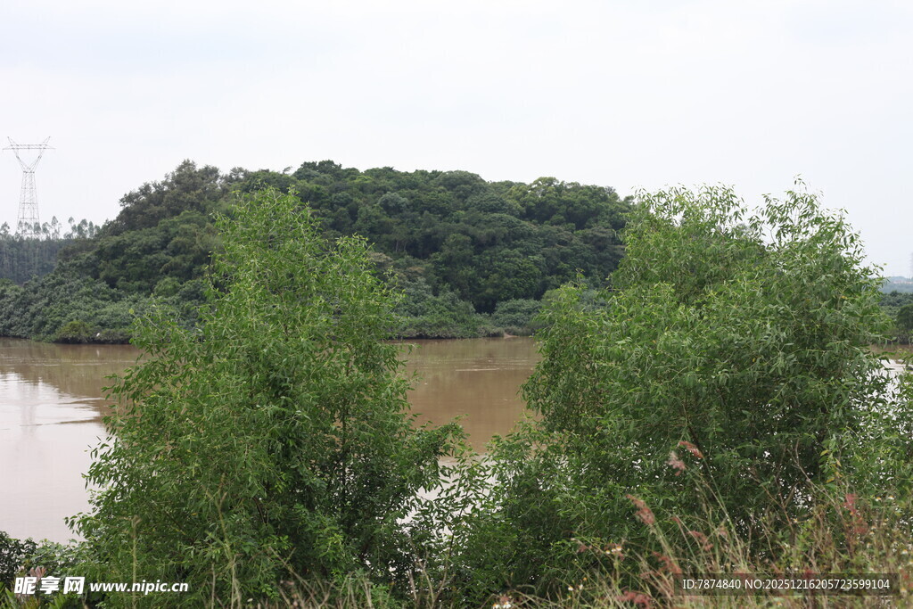 河畔绿树环绕的自然景致