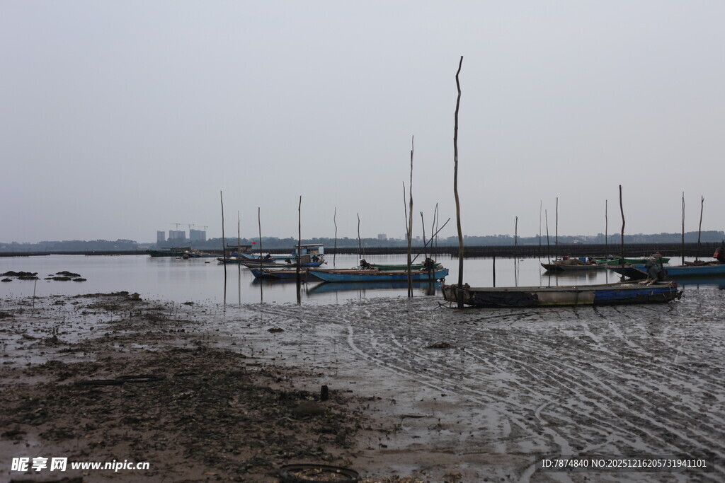 低潮时的码头与停泊船只