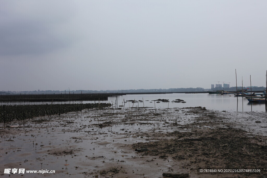 海边滩涂景象