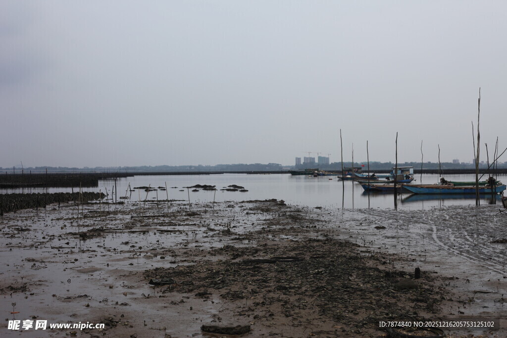 海边滩涂景象