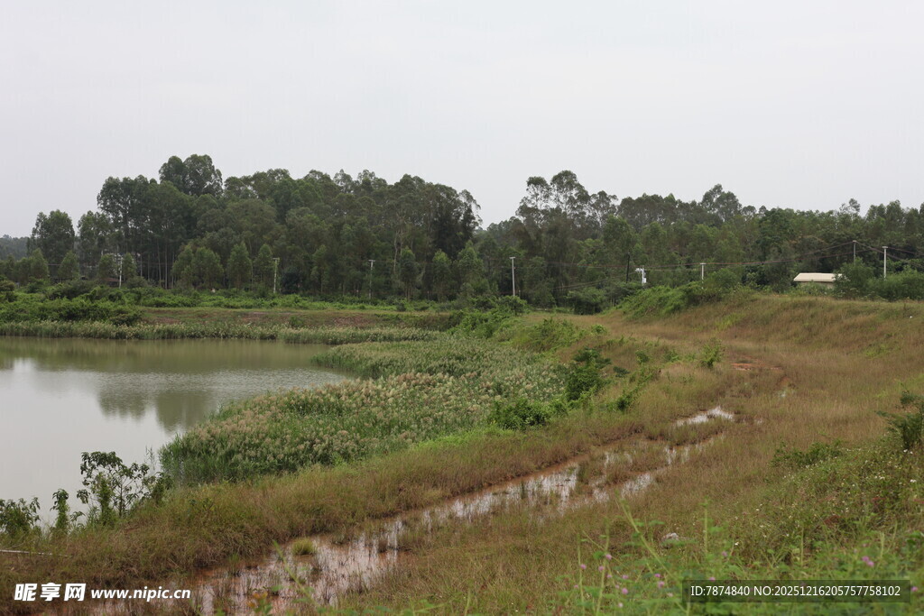 乡村湖畔自然风光