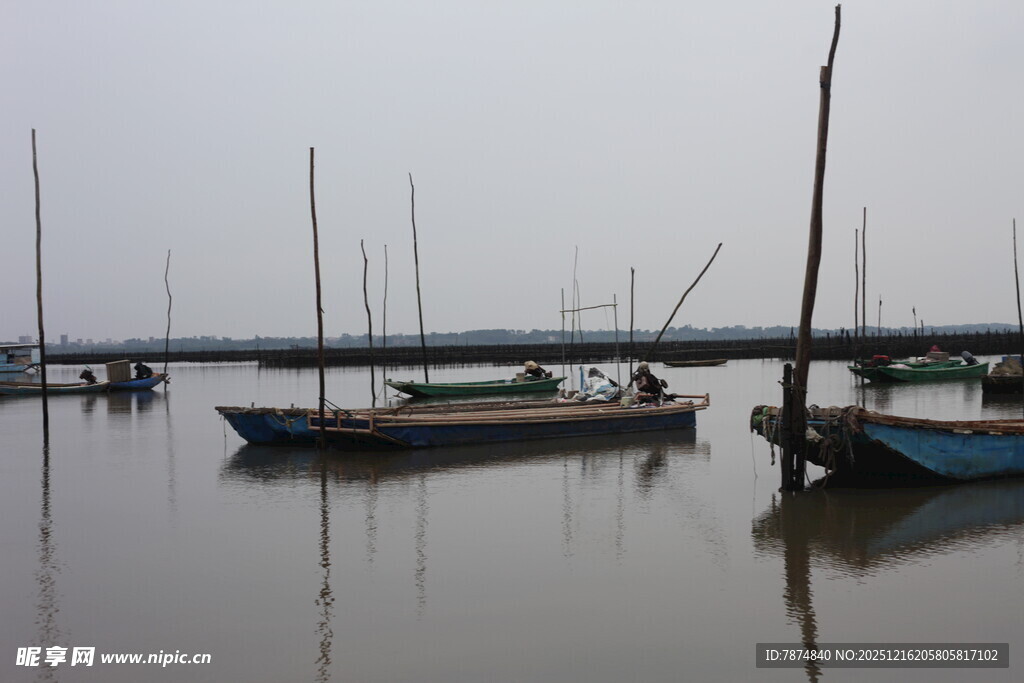 宁静港湾中的停泊船只