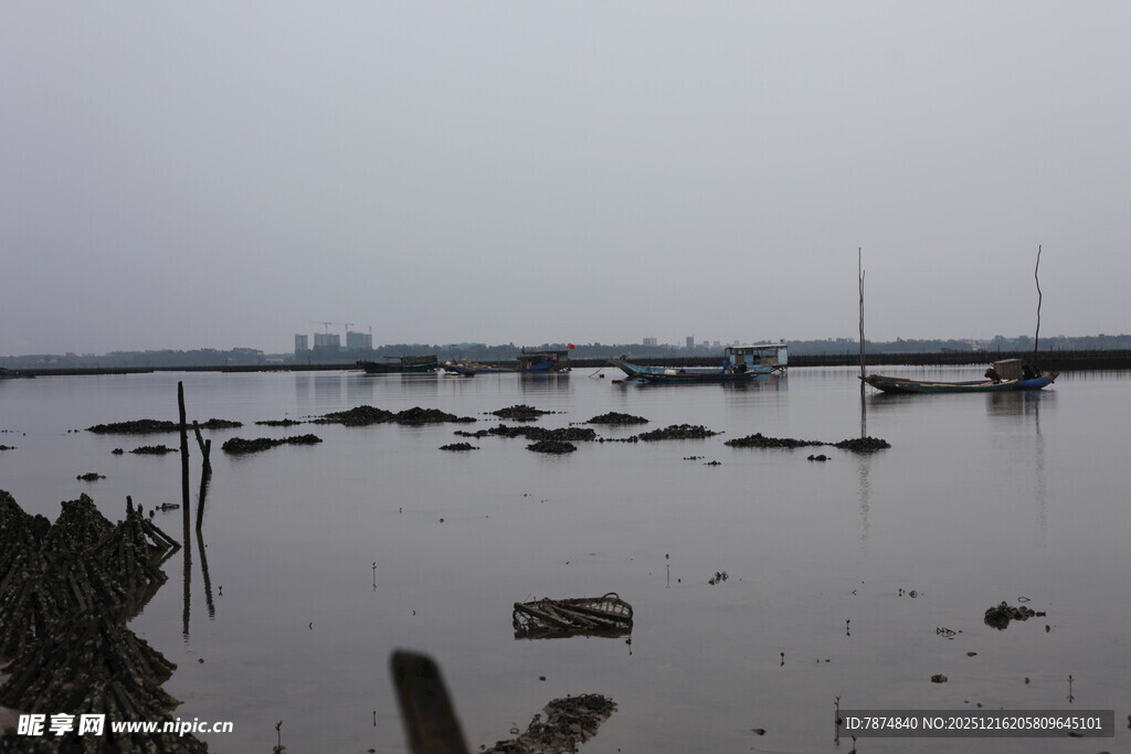 雾中浅滩停泊船只景象