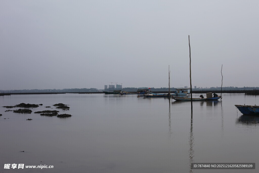 宁静港湾中的停泊船只