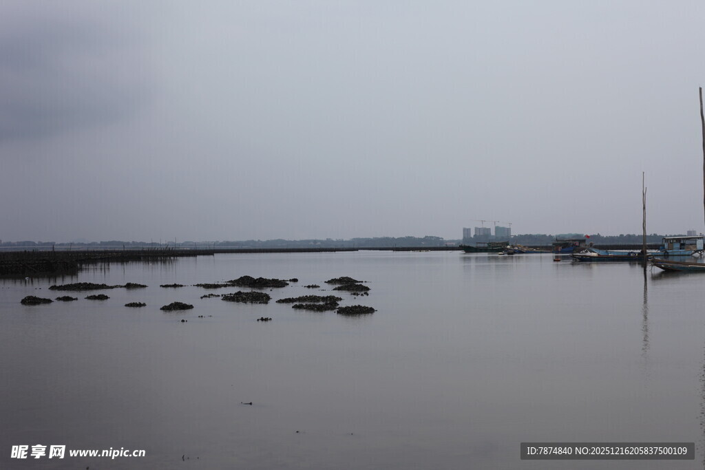 宁静水域中的停泊船只