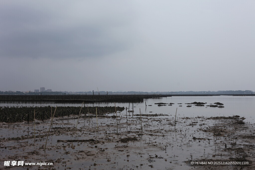 海边滩涂景象