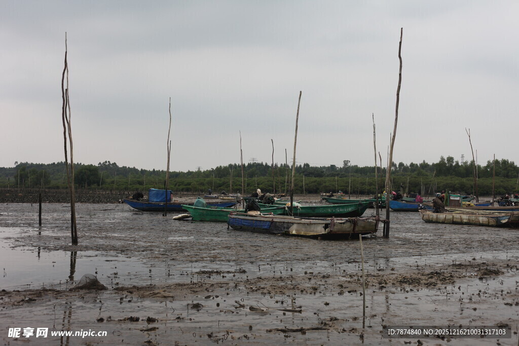 退潮后停泊在滩涂的船只