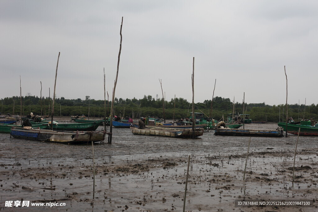 低潮时停泊的船只景观