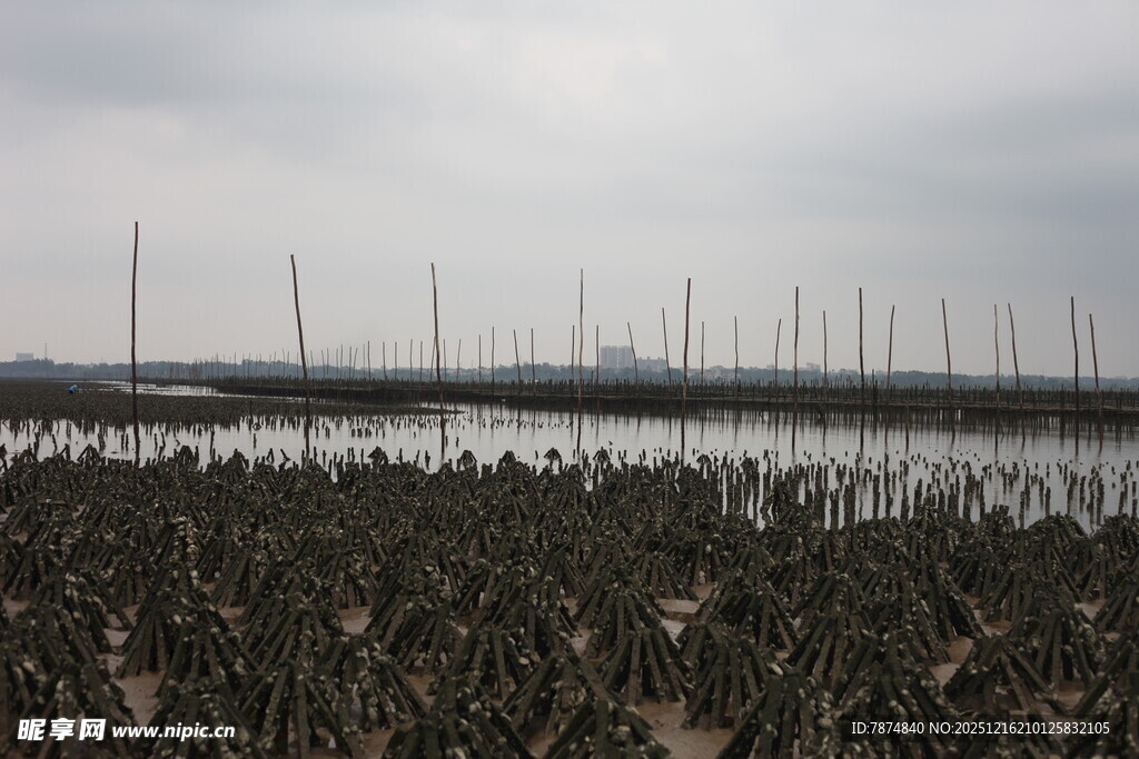 海上养殖场景