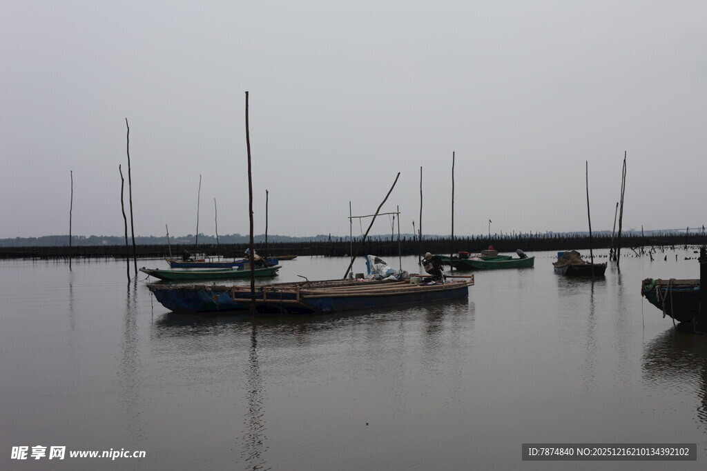 雾中停泊的多艘船只