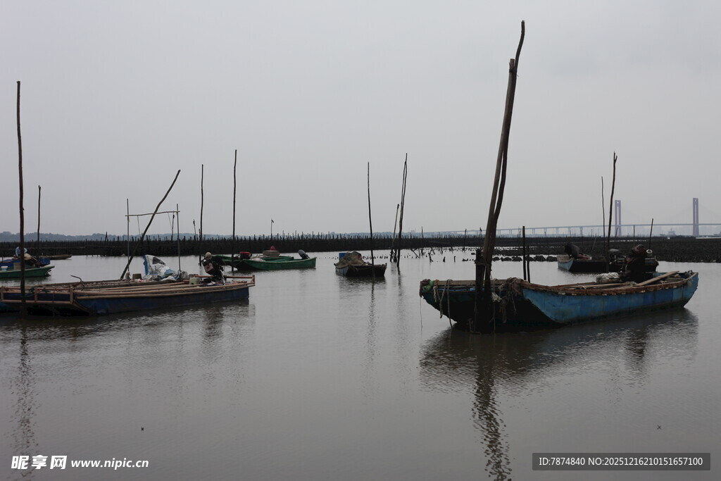 宁静港湾中的停泊船只