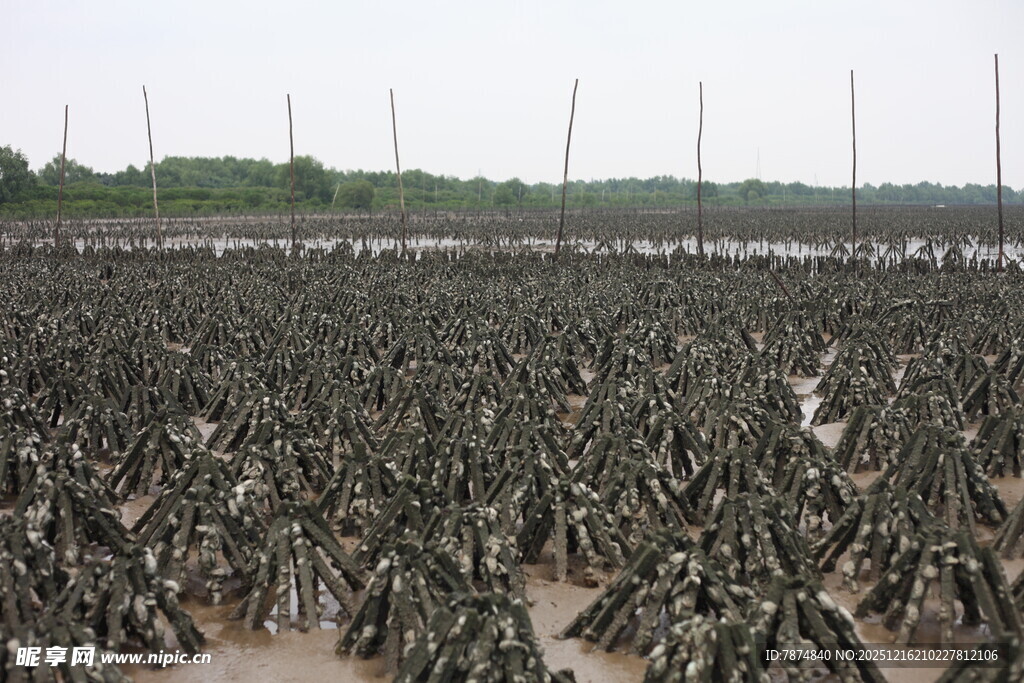海上养殖场景