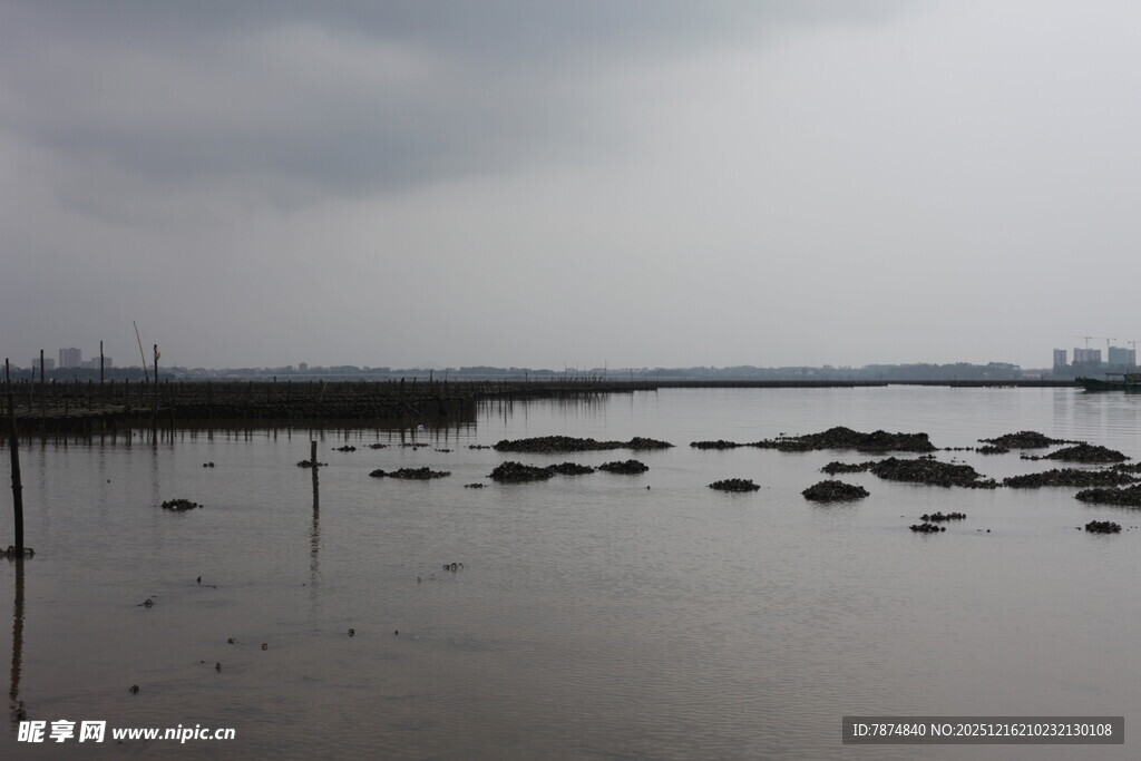 阴天水域中的零星礁石