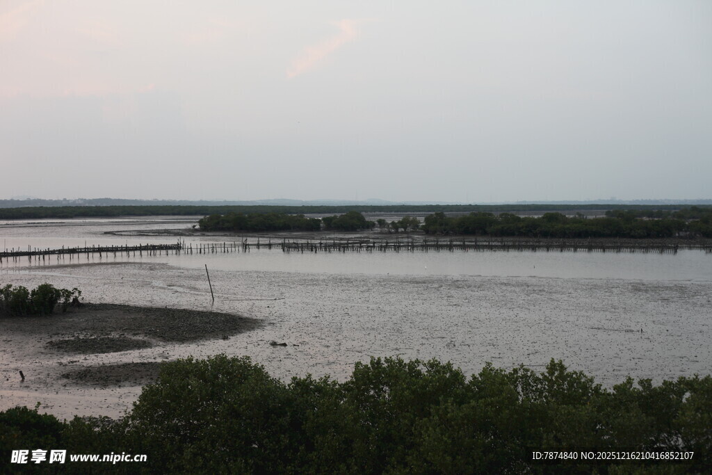 黄昏下的河岸风光