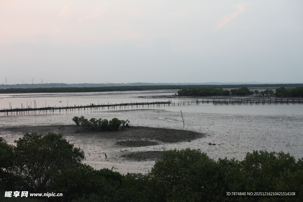 黄昏下的湿地河岸景观