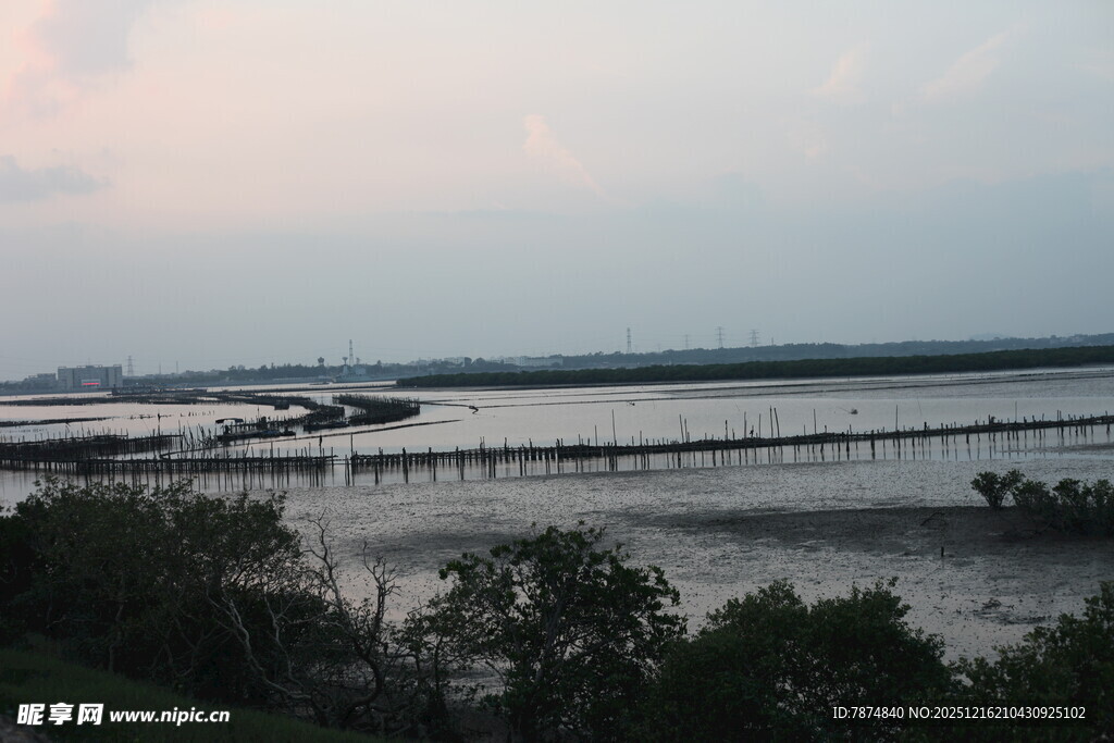 河畔暮色中的栈桥与植被