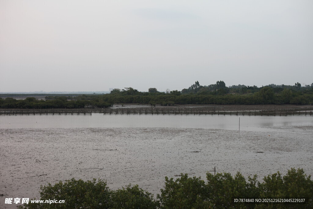 黄昏下的宁静河岸风光